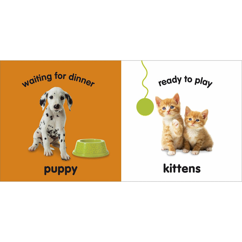 Baby Touch and Feel Baby Animals by DK