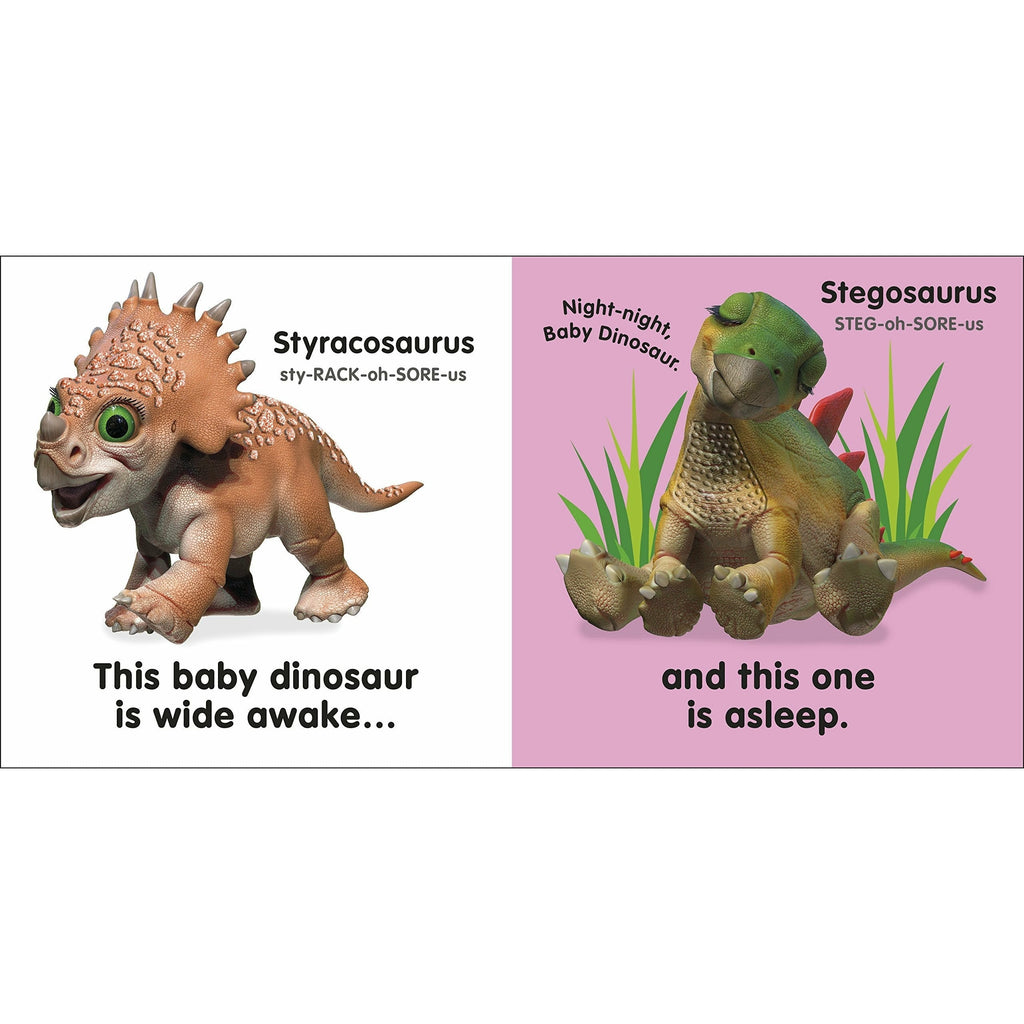 Baby Touch and Feel Baby Dinosaur by DK