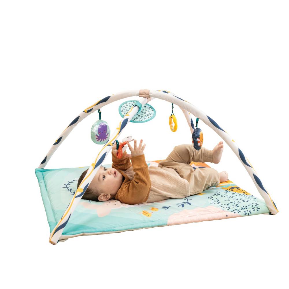 Infantino Underwater Wonders 3-in-1 Activity Gymâ„¢ Age- Newborn & Anove