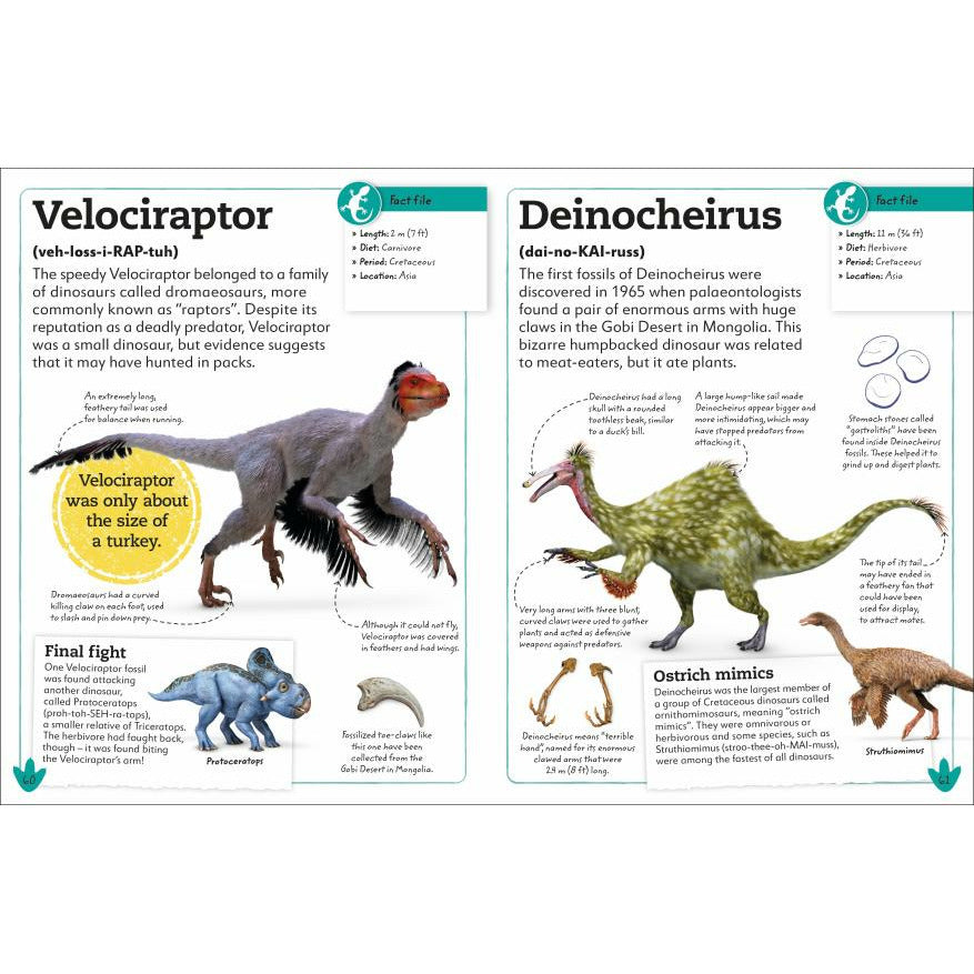 My Book of Dinosaurs and Prehistoric Life