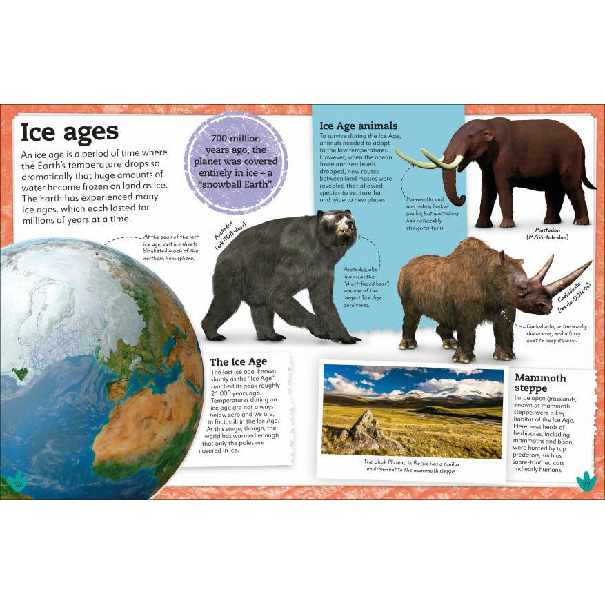 My Book of Dinosaurs and Prehistoric Life