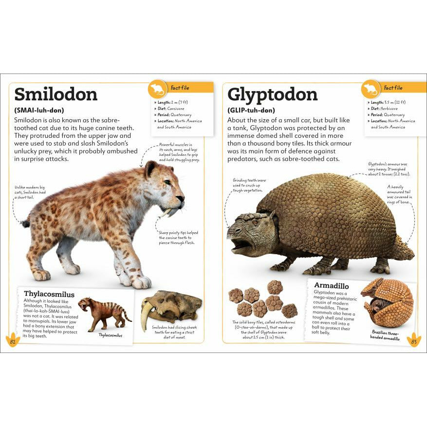 My Book of Dinosaurs and Prehistoric Life