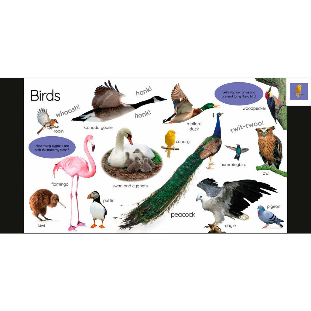 My First Animals Let's Squeak and Squawk!