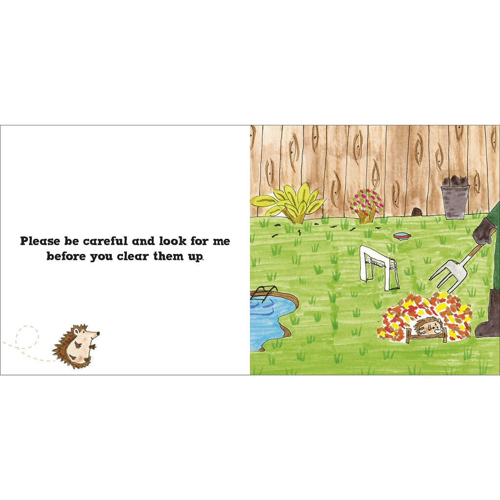 Roly the Hedgehog