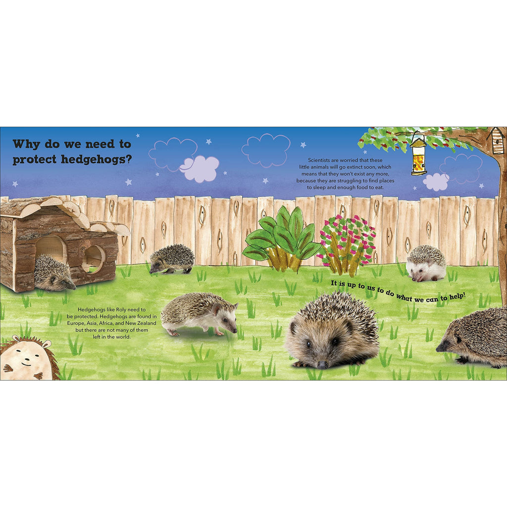 Roly the Hedgehog