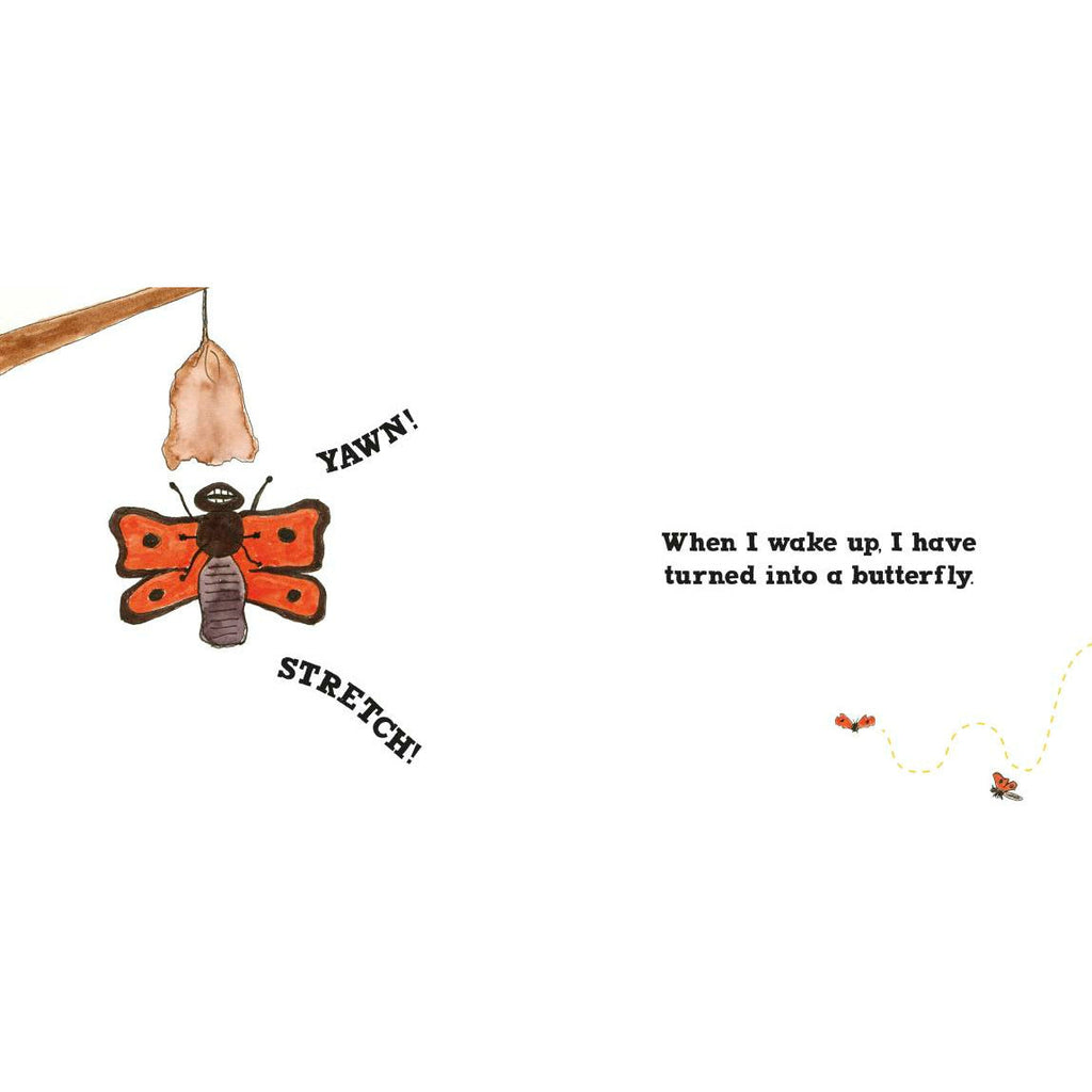 Roxy the Butterfly