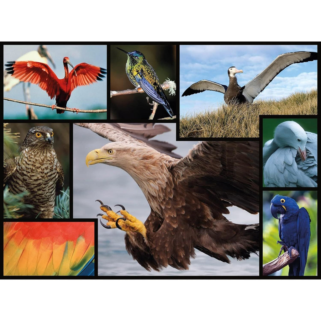 WWF 1000 Piece Kids Puzzle- Birds Age- 3 Years & Above