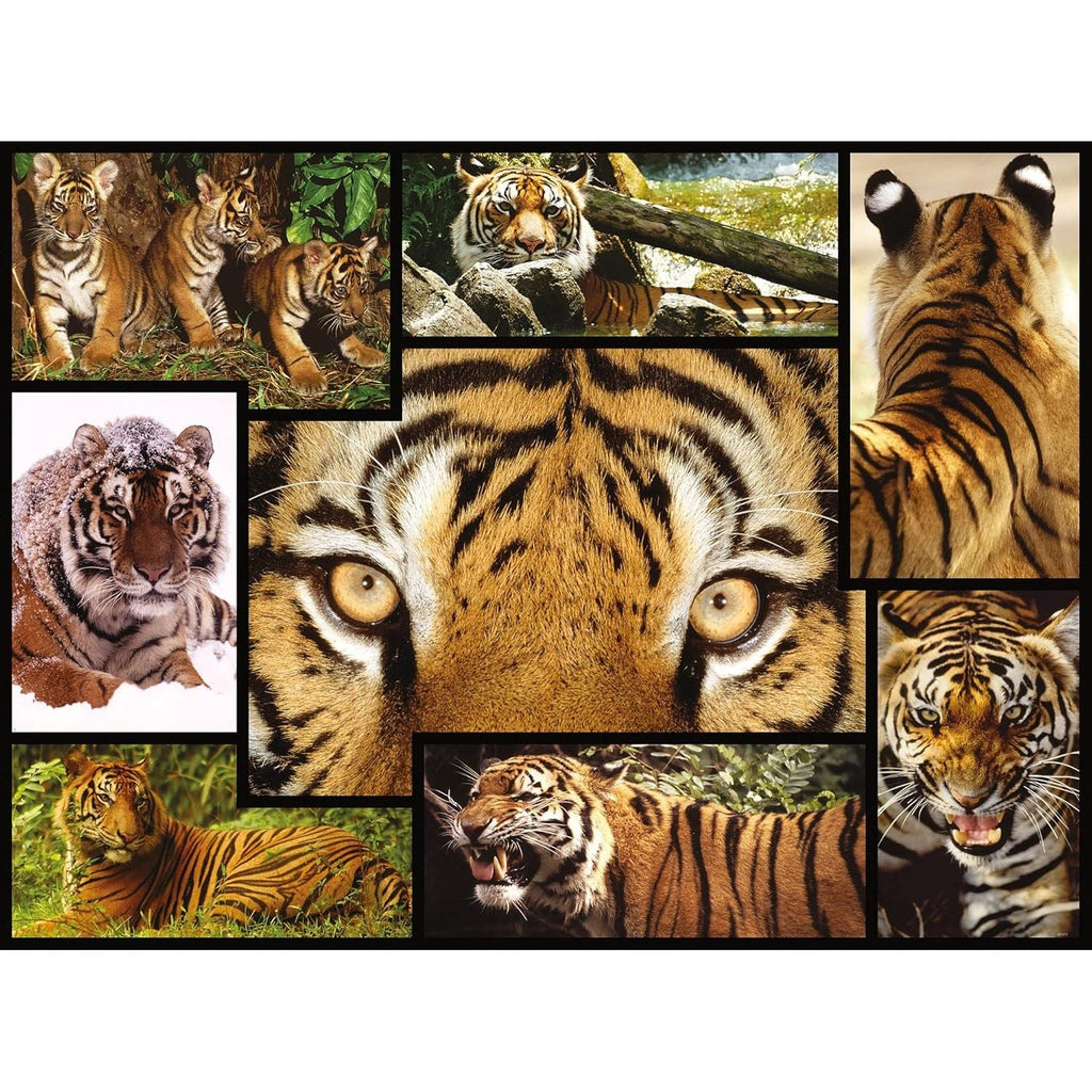 WWF 1000 Piece Kids Puzzle- Tigers Age- 3 Years & Above