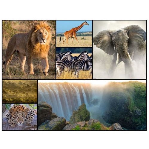 WWF African Animals Kids Floor Puzzles 48 Pieces Age- 3 Years & Above