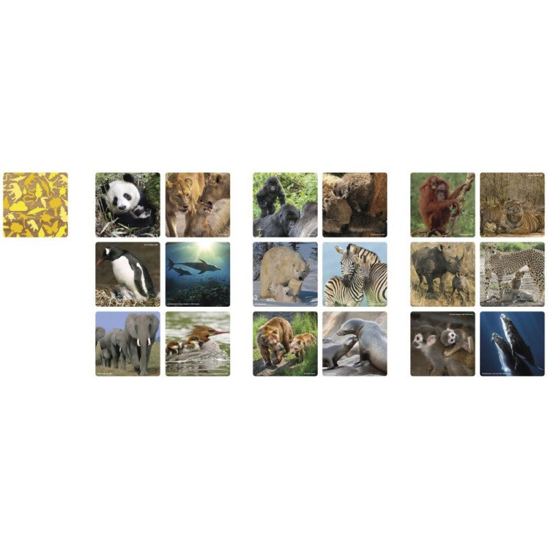 WWF Memory Matching Animal Families Board Game with Tiles Age- 3 Years & Above